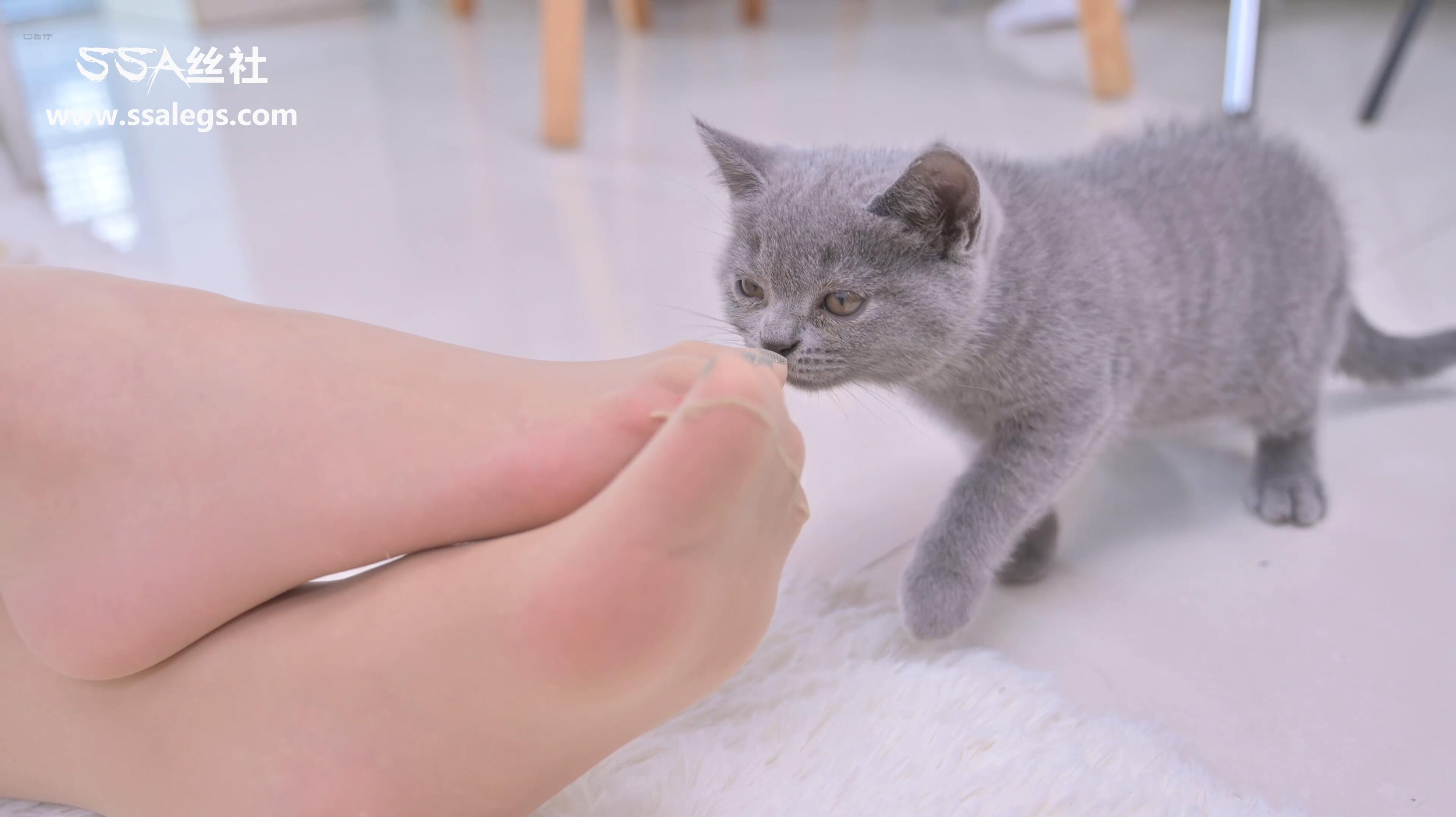 4K SSA丝社丝慕002期视频 – 少女与猫