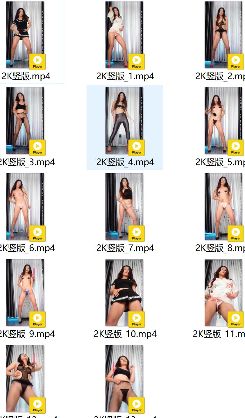 梓妍第三期热舞派 – 大尺度热舞竖版，14V，3.08GB，FHD画质