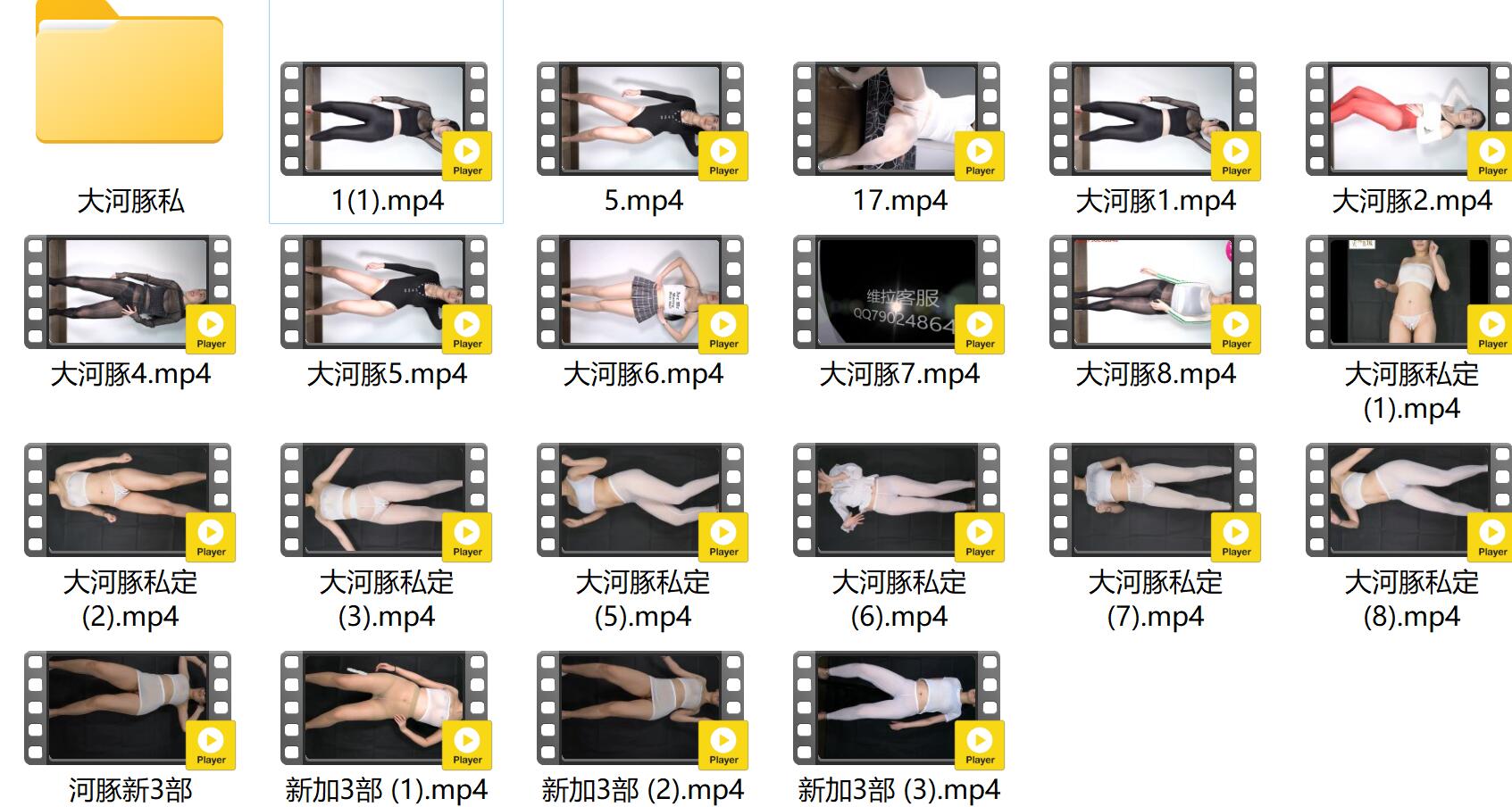 维拉热舞 大河豚